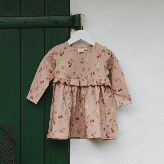 Petit Piao - Star LS Dress, PP0153 - Misty Rose Strawberry AOP