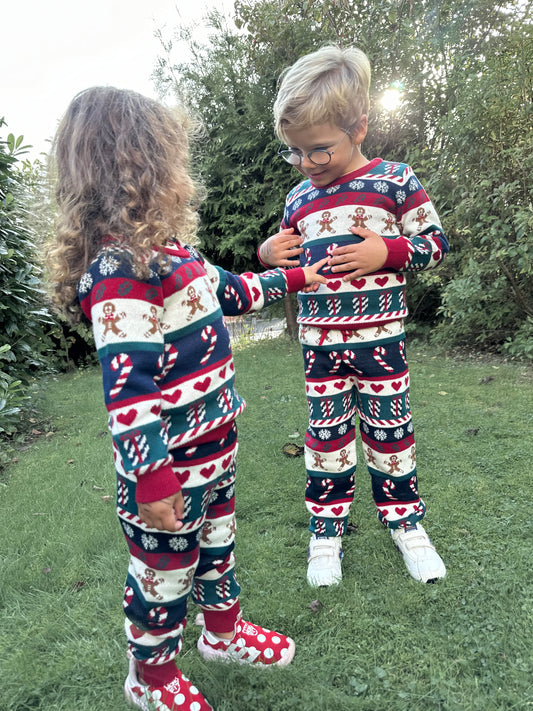 THE NEW Siblings - Holiday Jacquard Pullover, TNS5907 - Multi Colour